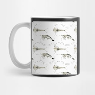 Triops and Prawn Mug